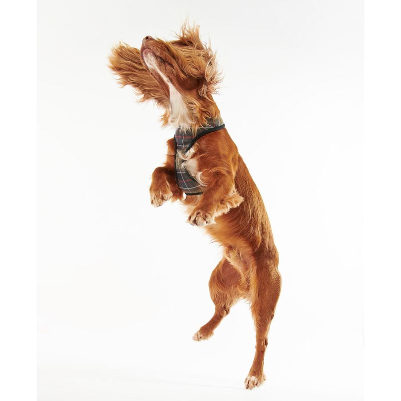 Barbour Tartan Dog Harness image number 3